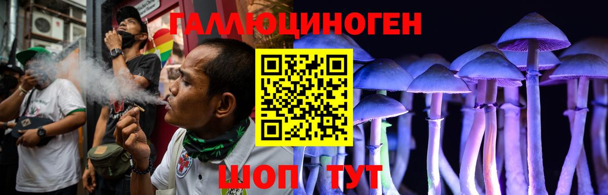 Псилоцибиновые грибы Cubensis  Вход с VPN  Советская Гавань 